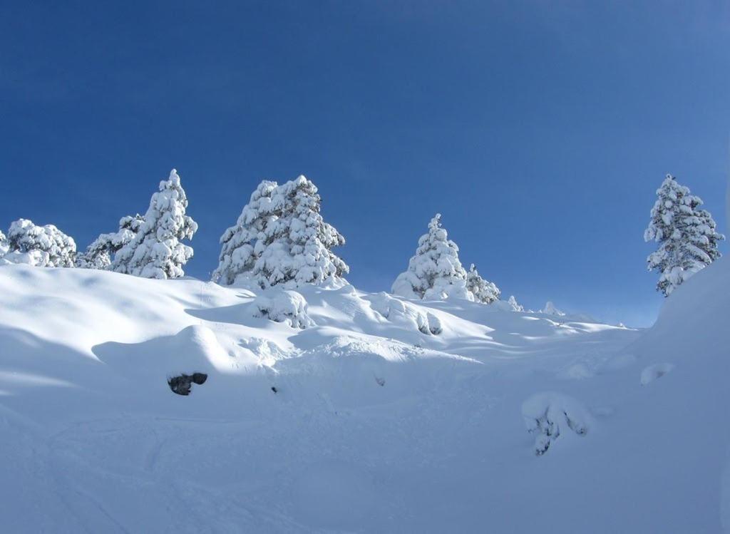 Javalambre Mountain Superski Camarena de la Sierra Eksteriør bilde